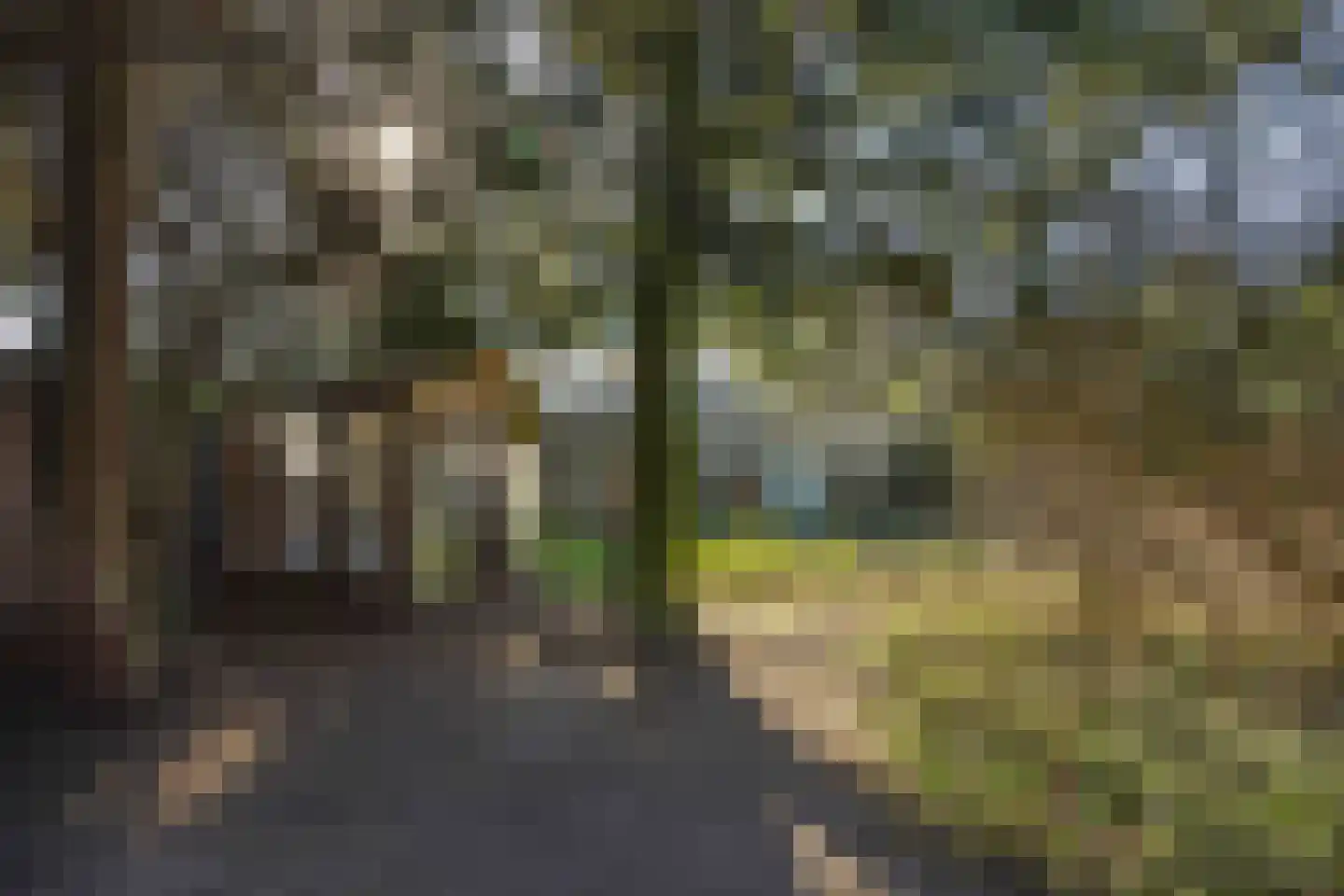 Zandbosweg 100 Deurne thumbnail 33