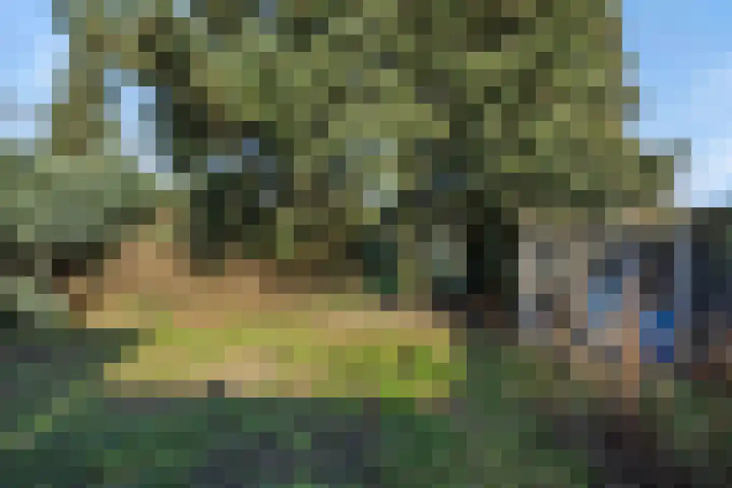 Zandbosweg 100 Deurne thumbnail 34