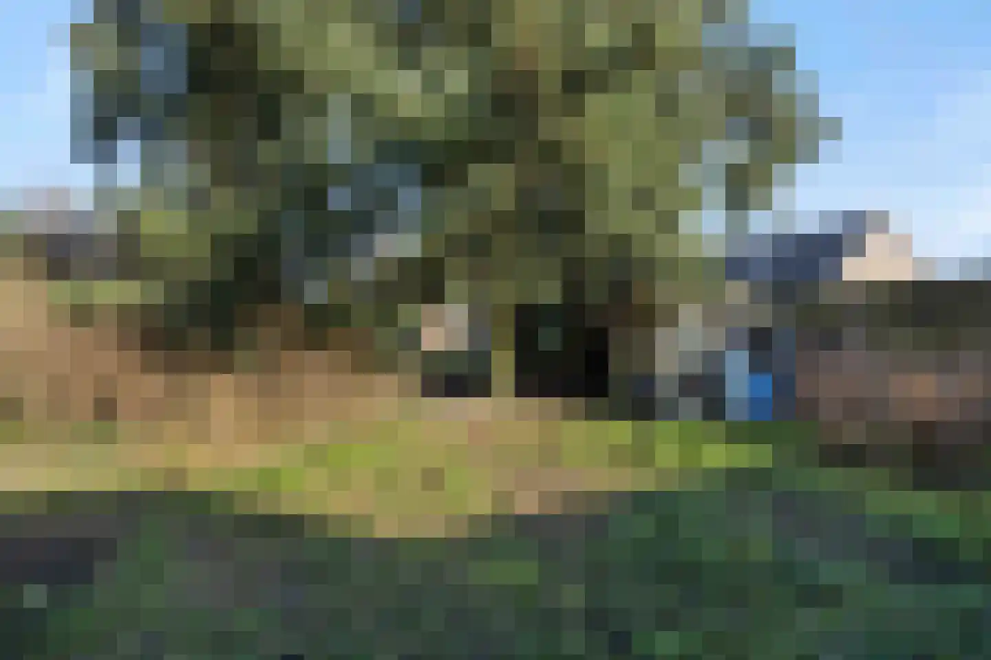 Zandbosweg 100 Deurne thumbnail 35