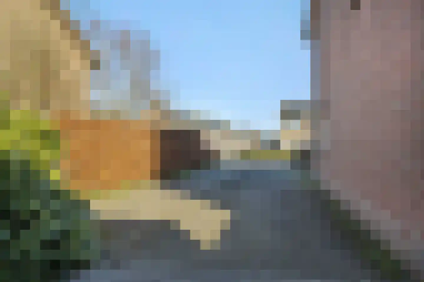 Zandbosweg 100 Deurne thumbnail 37