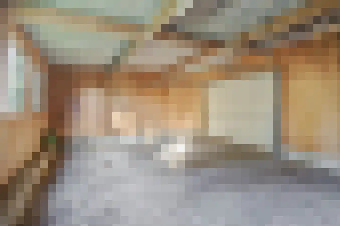 Zandbosweg 100 Deurne thumbnail 41