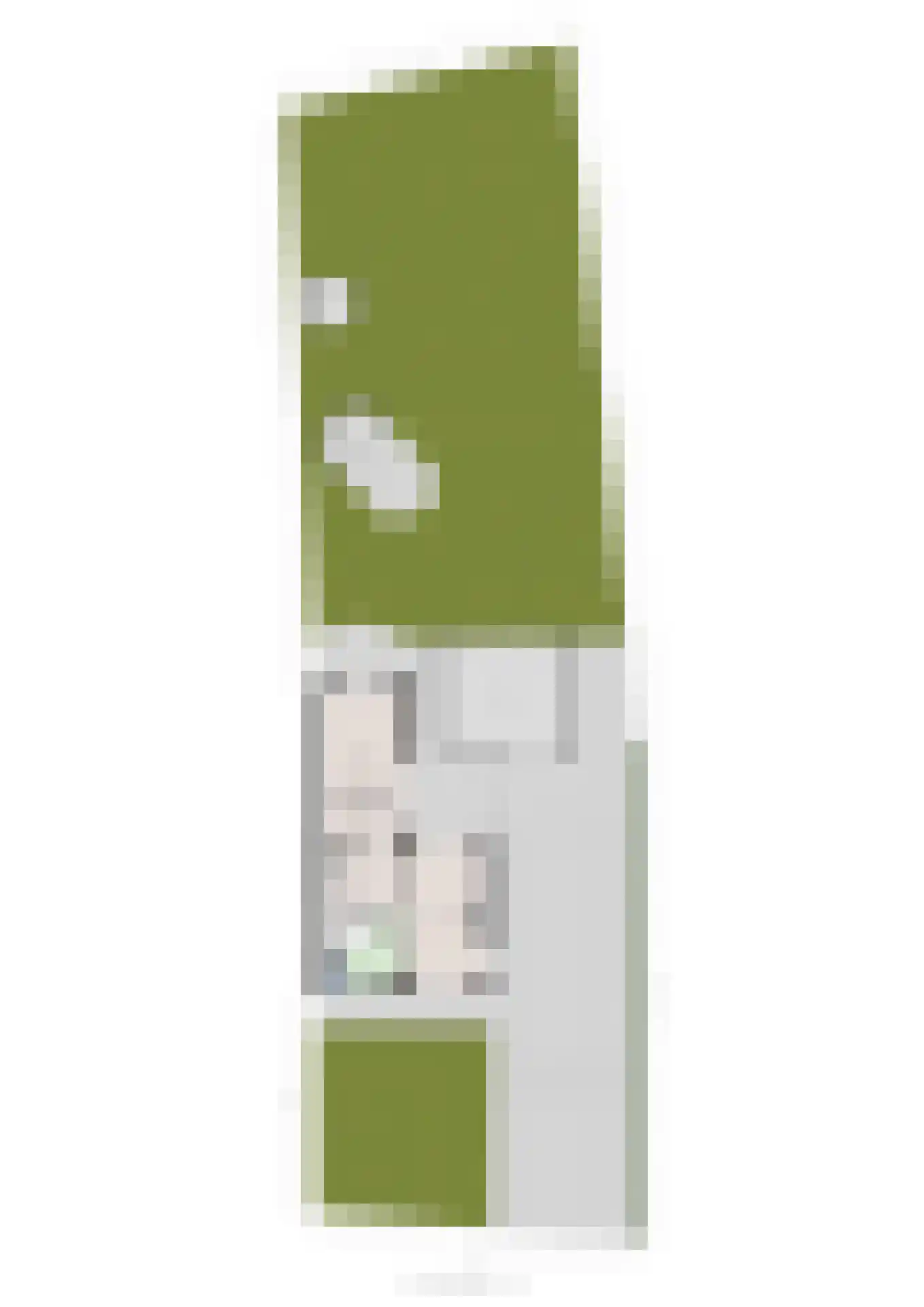 Zandbosweg 100 Deurne thumbnail 53