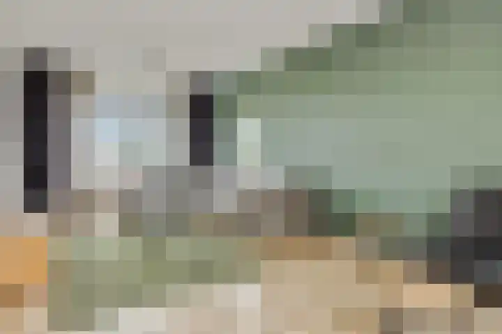 Zandbosweg 44 Deurne thumbnail 10