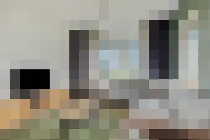 Zandbosweg 44 Deurne thumbnail 11