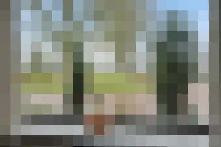 Zandbosweg 44 Deurne thumbnail 13