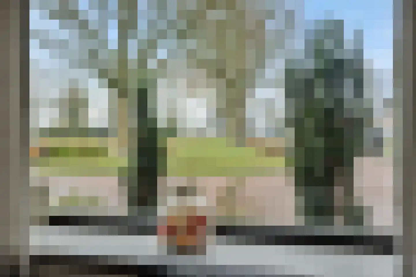 Zandbosweg 44 Deurne thumbnail 13