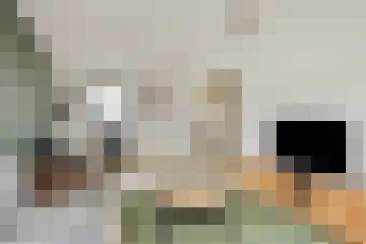 Zandbosweg 44 Deurne thumbnail 14