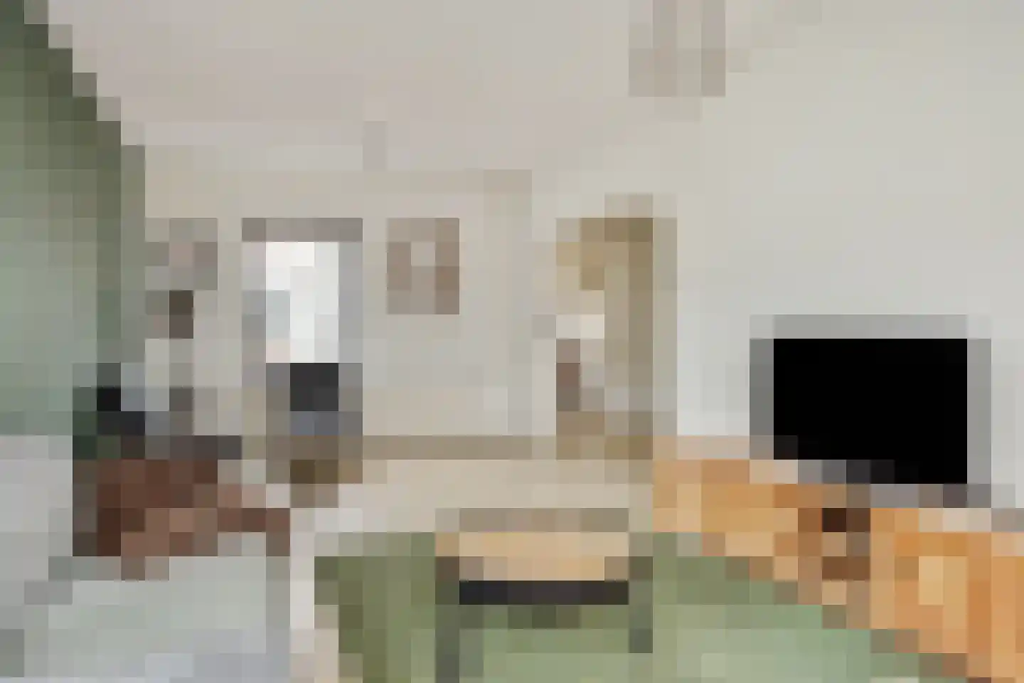Zandbosweg 44 Deurne thumbnail 14