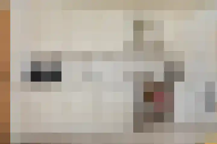 Zandbosweg 44 Deurne thumbnail 16