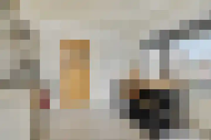 Zandbosweg 44 Deurne thumbnail 17