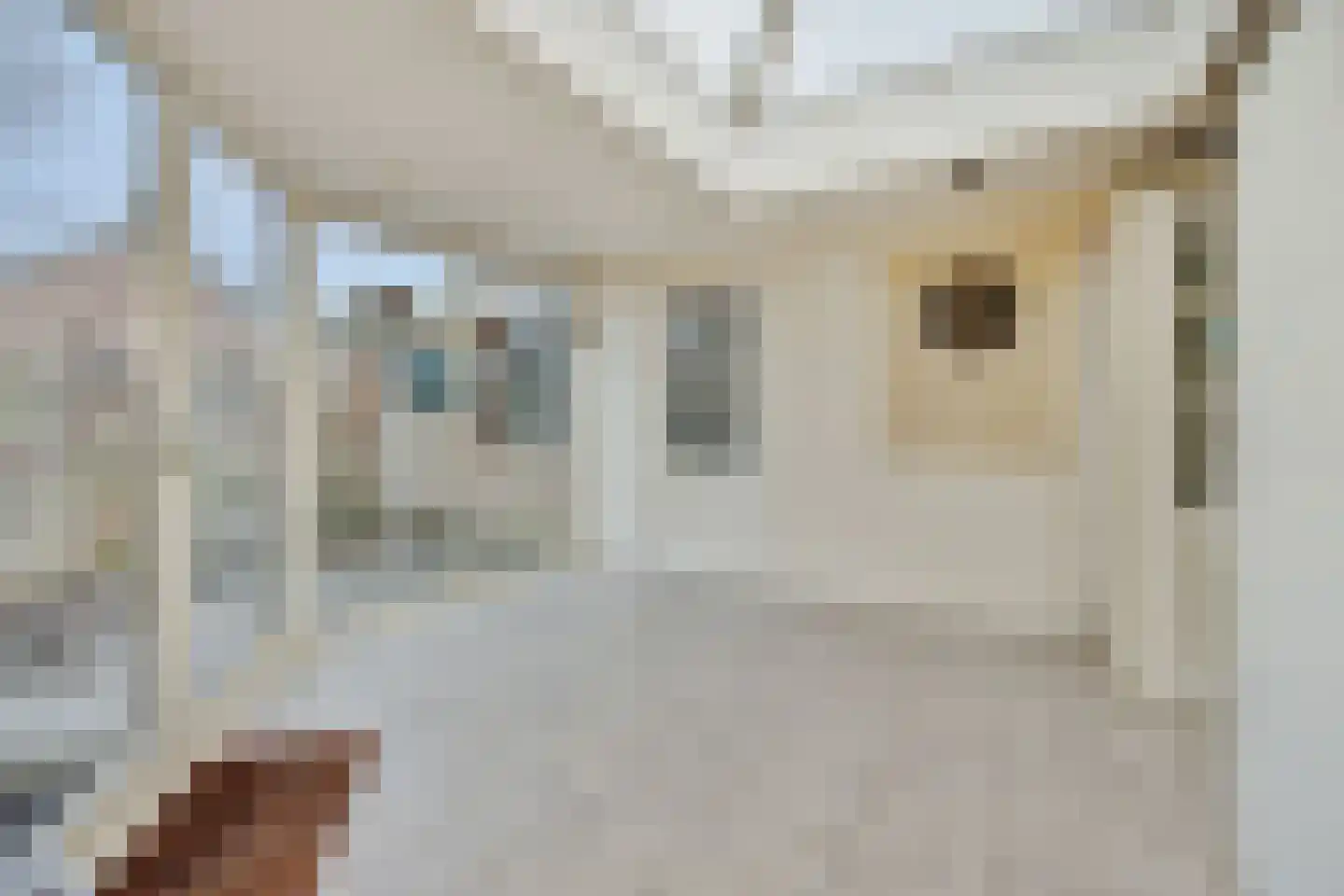 Zandbosweg 44 Deurne thumbnail 18