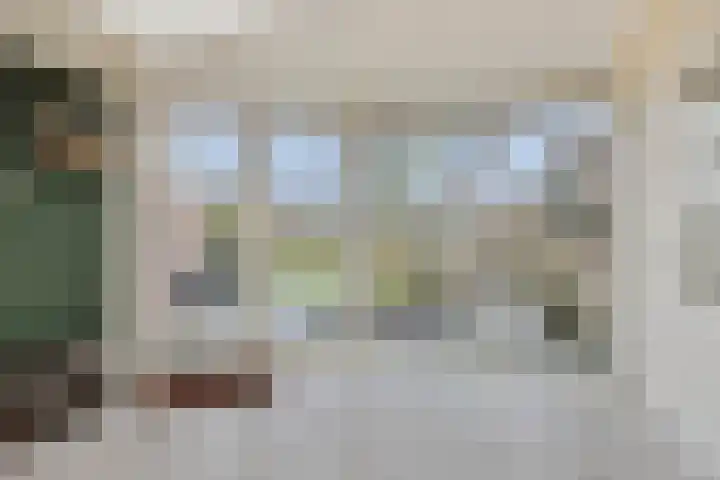 Zandbosweg 44 Deurne thumbnail 19