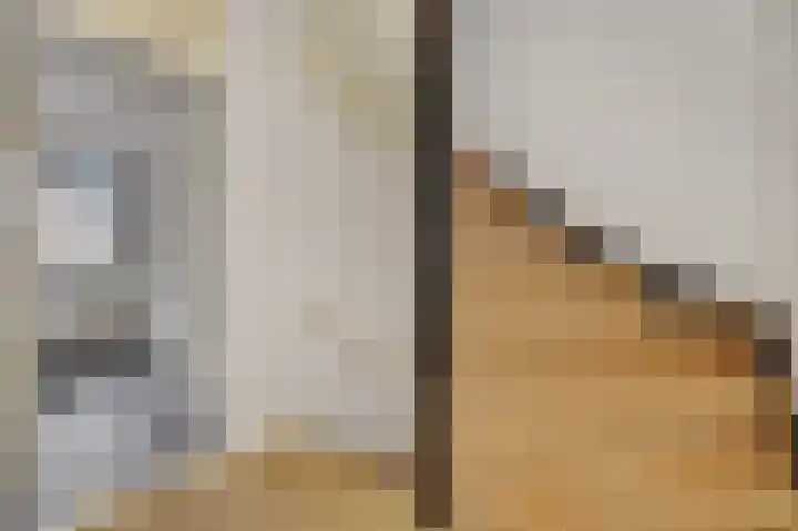 Zandbosweg 44 Deurne thumbnail 20