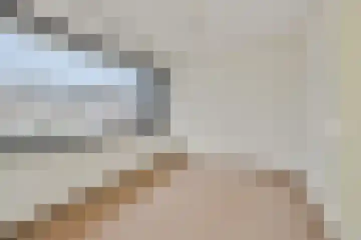 Zandbosweg 44 Deurne thumbnail 21