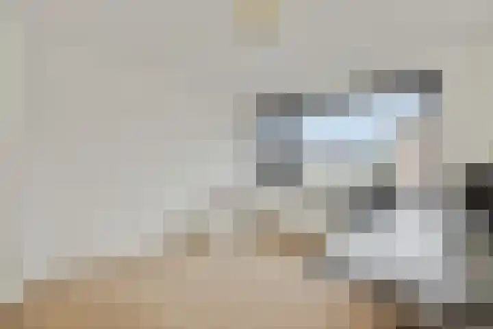 Zandbosweg 44 Deurne thumbnail 23