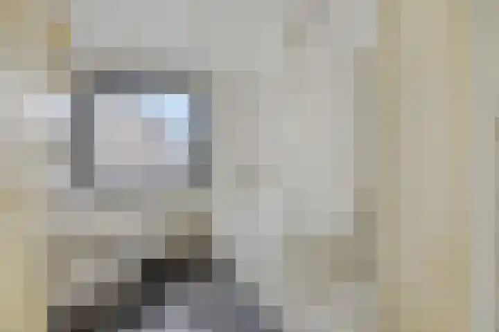 Zandbosweg 44 Deurne thumbnail 25