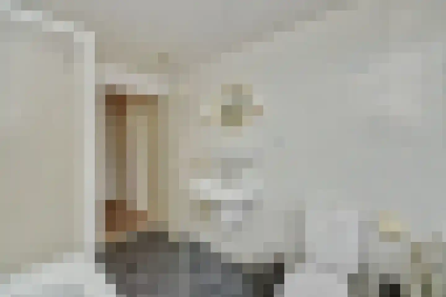 Zandbosweg 44 Deurne thumbnail 26