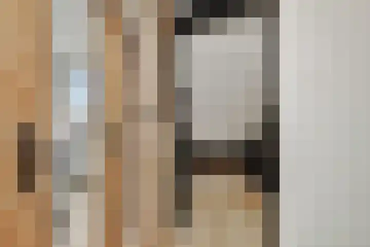 Zandbosweg 44 Deurne thumbnail 29