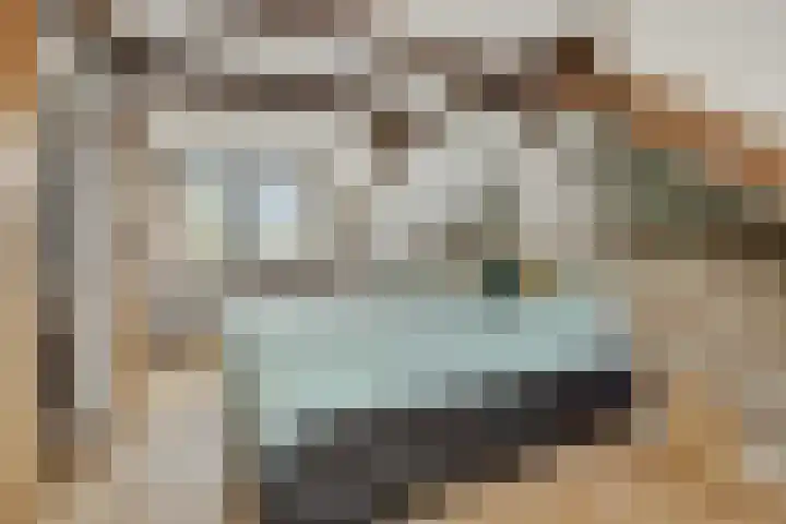 Zandbosweg 44 Deurne thumbnail 30