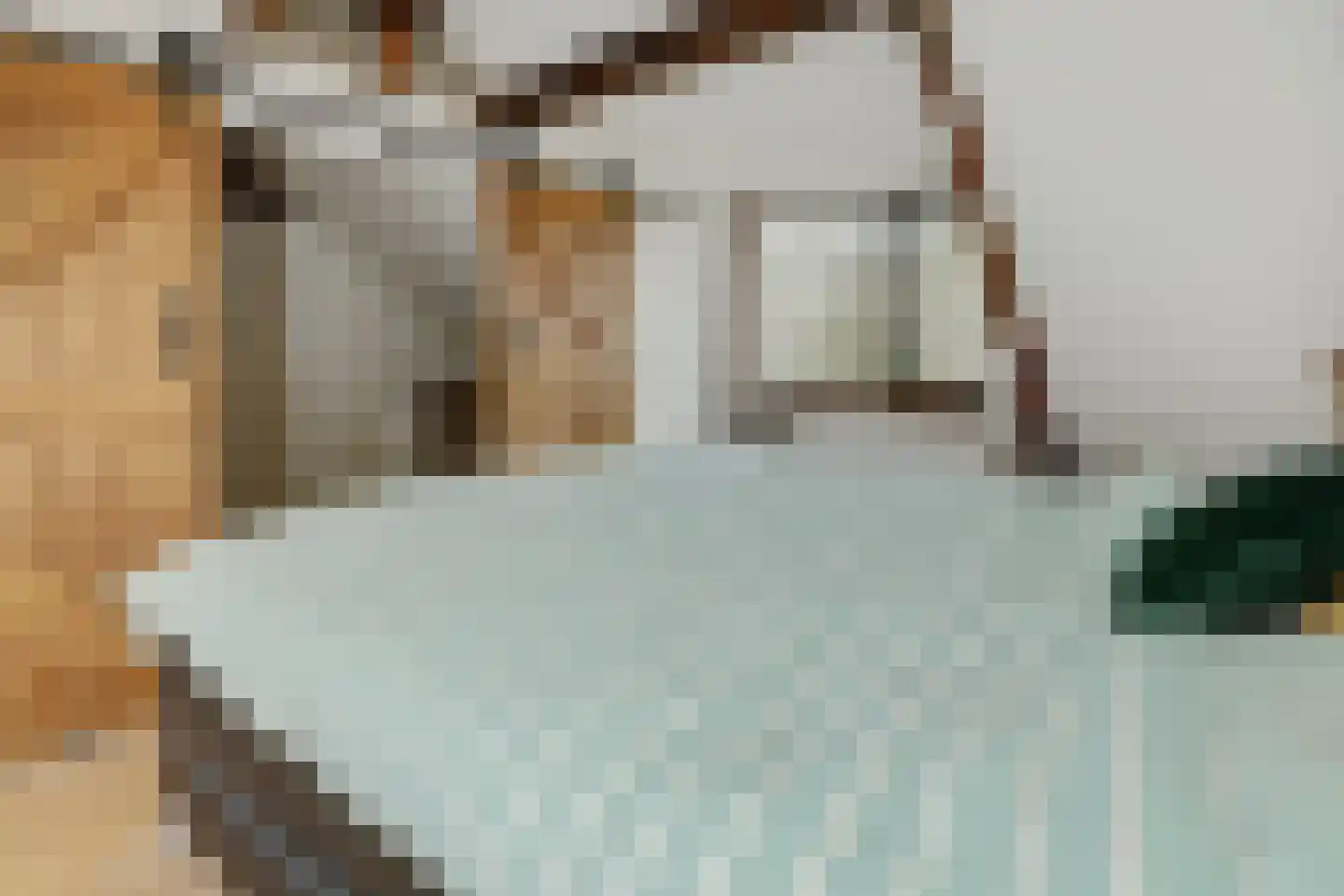 Zandbosweg 44 Deurne thumbnail 31