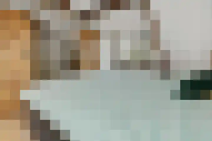 Zandbosweg 44 Deurne thumbnail 31