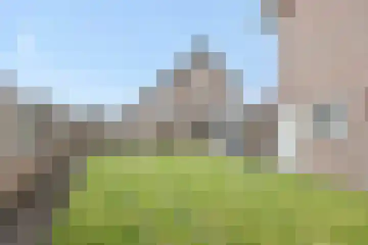 Zandbosweg 44 Deurne thumbnail 34