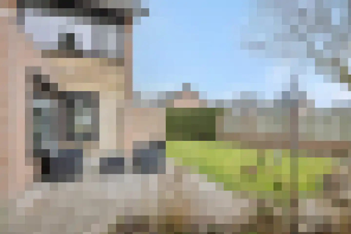 Zandbosweg 44 Deurne thumbnail 35