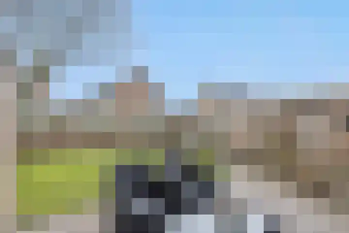 Zandbosweg 44 Deurne thumbnail 36