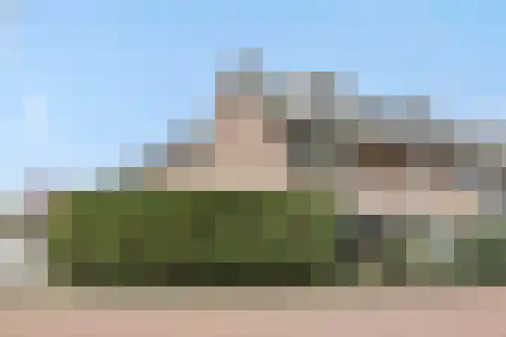 Zandbosweg 44 Deurne thumbnail 38