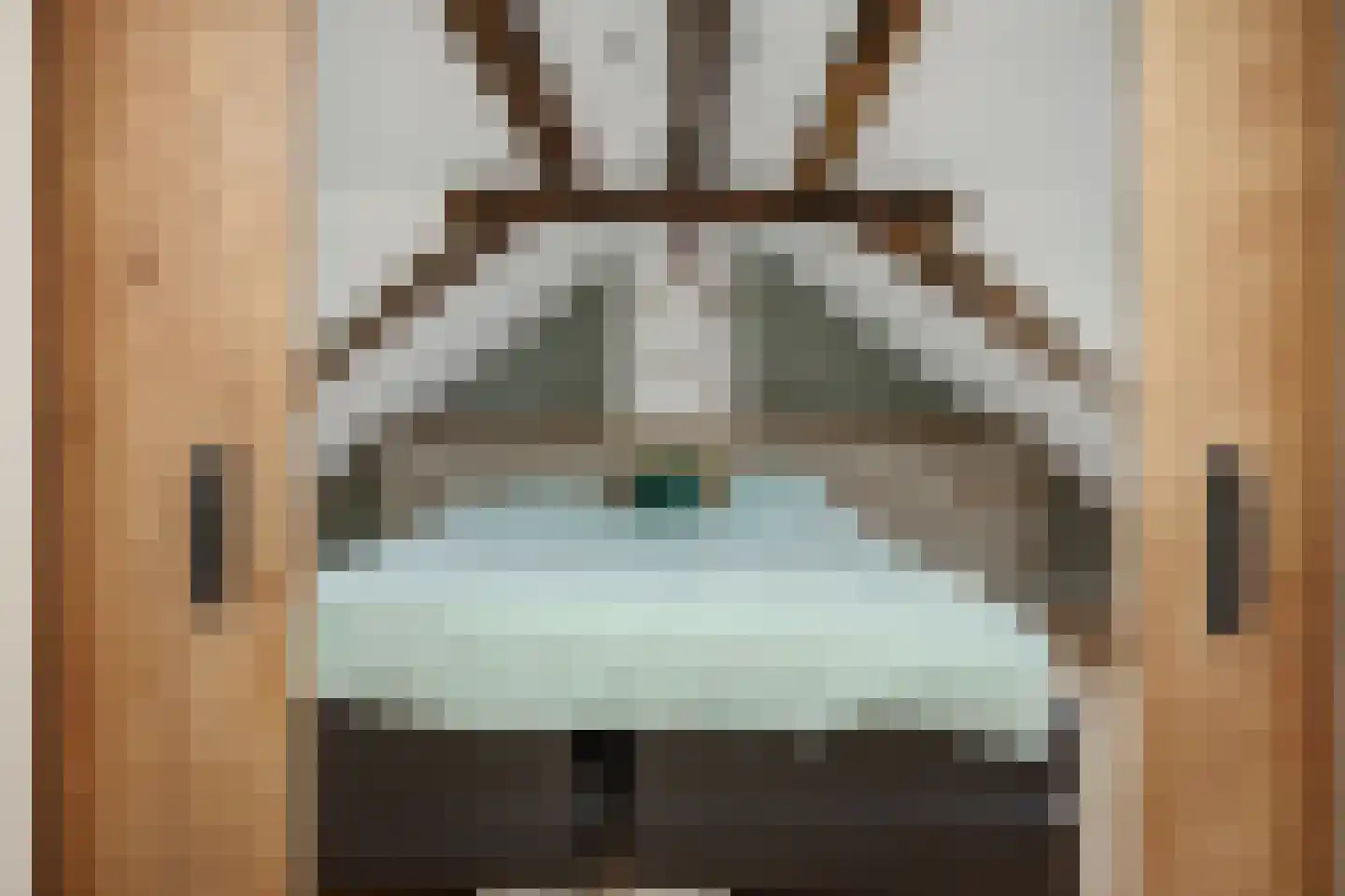 Zandbosweg 44 Deurne thumbnail 4