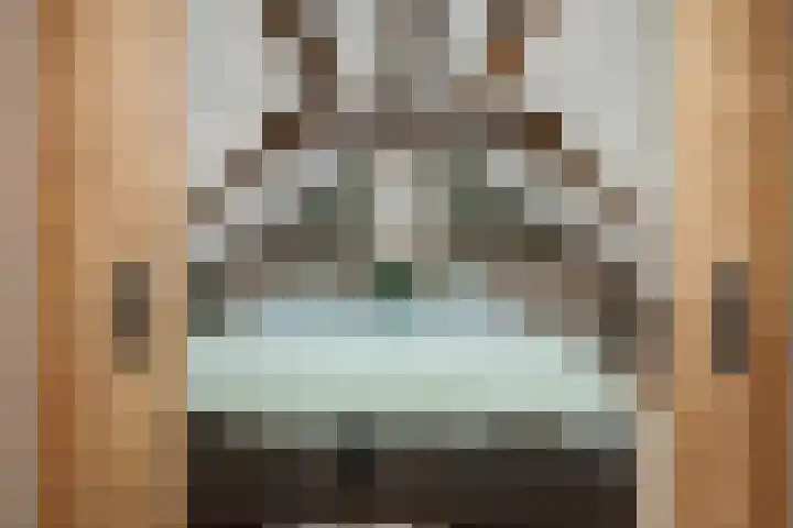 Zandbosweg 44 Deurne thumbnail 4