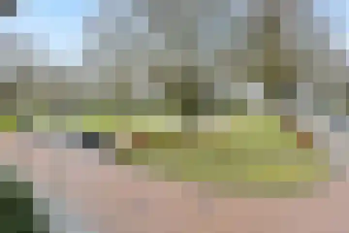 Zandbosweg 44 Deurne thumbnail 41