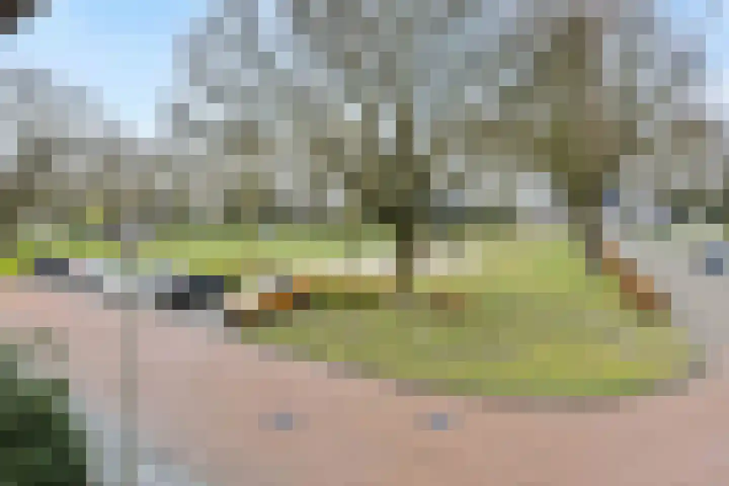 Zandbosweg 44 Deurne thumbnail 41