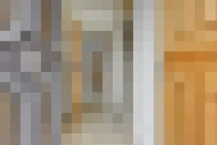 Zandbosweg 44 Deurne thumbnail 7