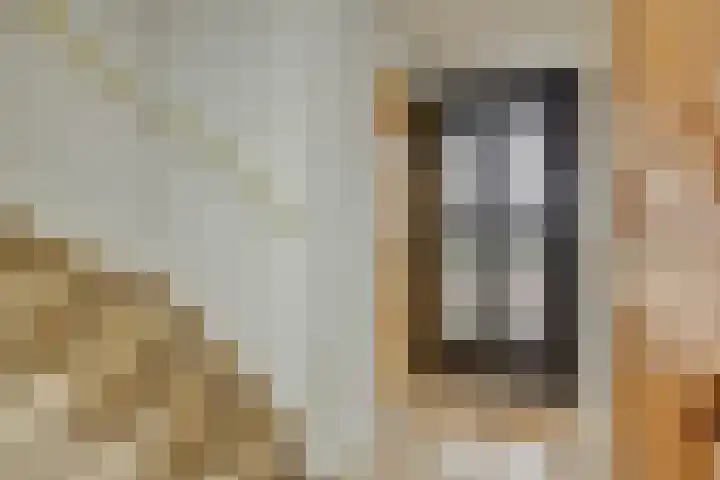 Zandbosweg 44 Deurne thumbnail 8