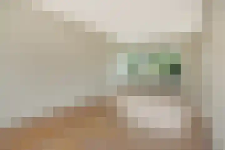Zandbosweg 62 Deurne thumbnail 10