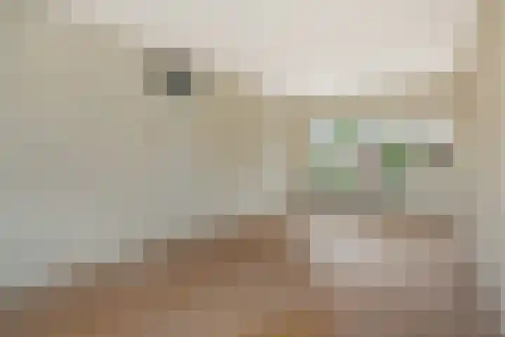 Zandbosweg 62 Deurne thumbnail 11
