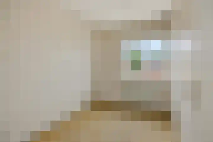 Zandbosweg 62 Deurne thumbnail 17
