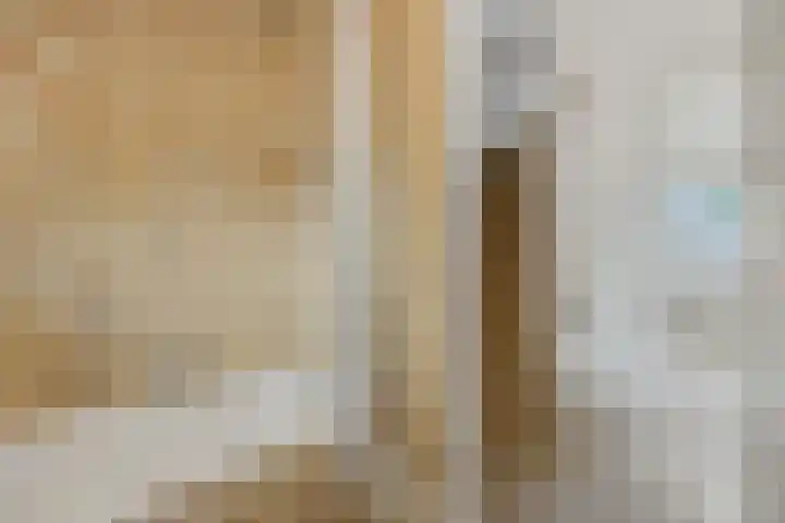 Zandbosweg 62 Deurne thumbnail 19