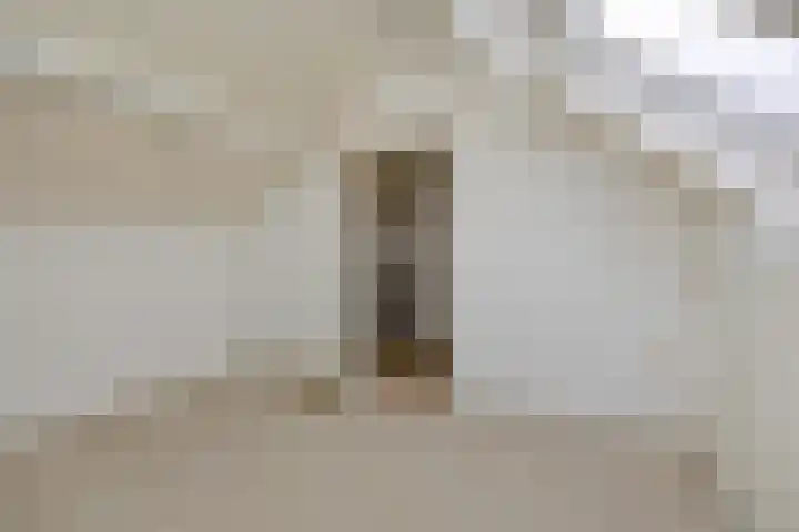 Zandbosweg 62 Deurne thumbnail 22