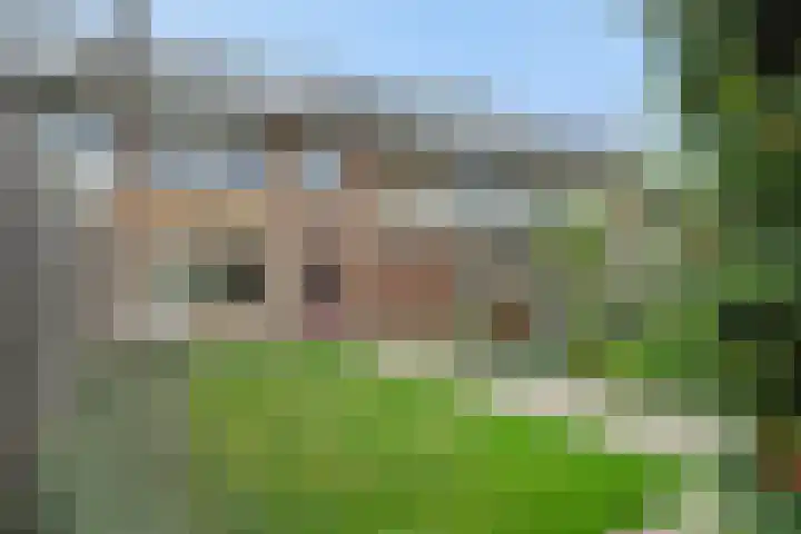 Zandbosweg 62 Deurne thumbnail 23