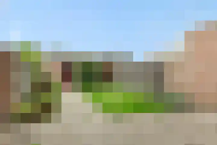 Zandbosweg 62 Deurne thumbnail 25