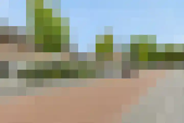 Zandbosweg 62 Deurne thumbnail 28