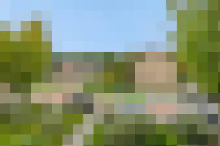 Zandbosweg 62 Deurne thumbnail 30