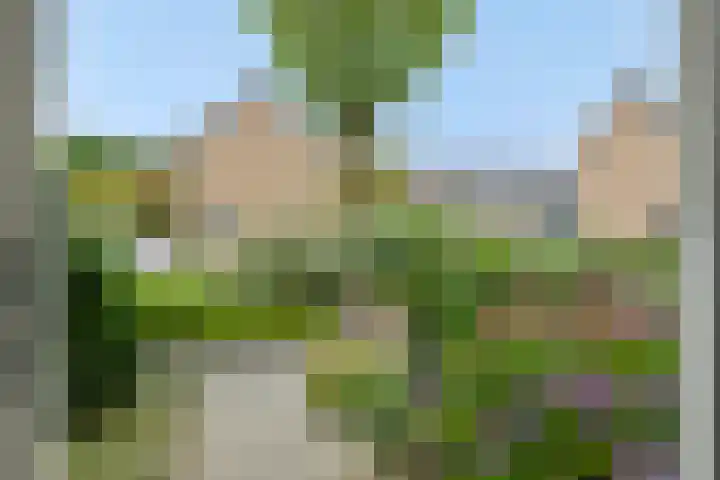 Zandbosweg 62 Deurne thumbnail 31