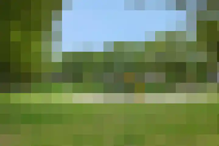 Zandbosweg 62 Deurne thumbnail 33