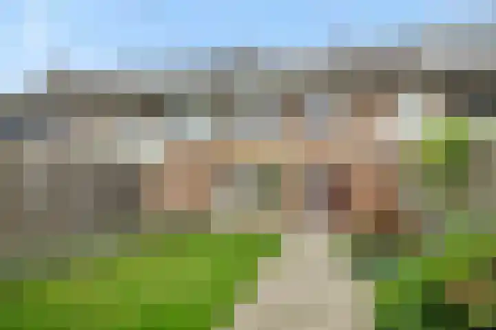 Zandbosweg 62 Deurne thumbnail 5