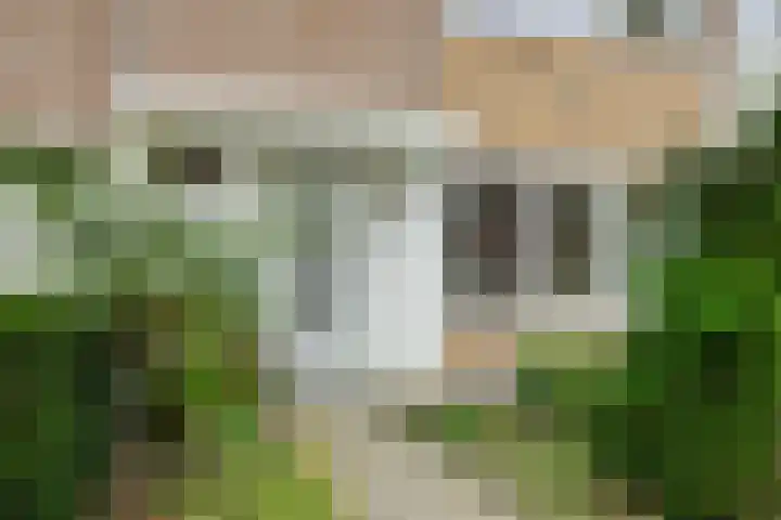 Zandbosweg 62 Deurne thumbnail 6