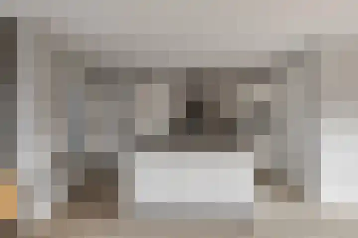 Zandburen 21 Hippolytushoef thumbnail 10