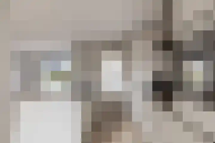 Zandburen 21 Hippolytushoef thumbnail 11